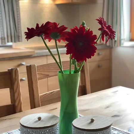 Sonnenweg Apartament Schladming